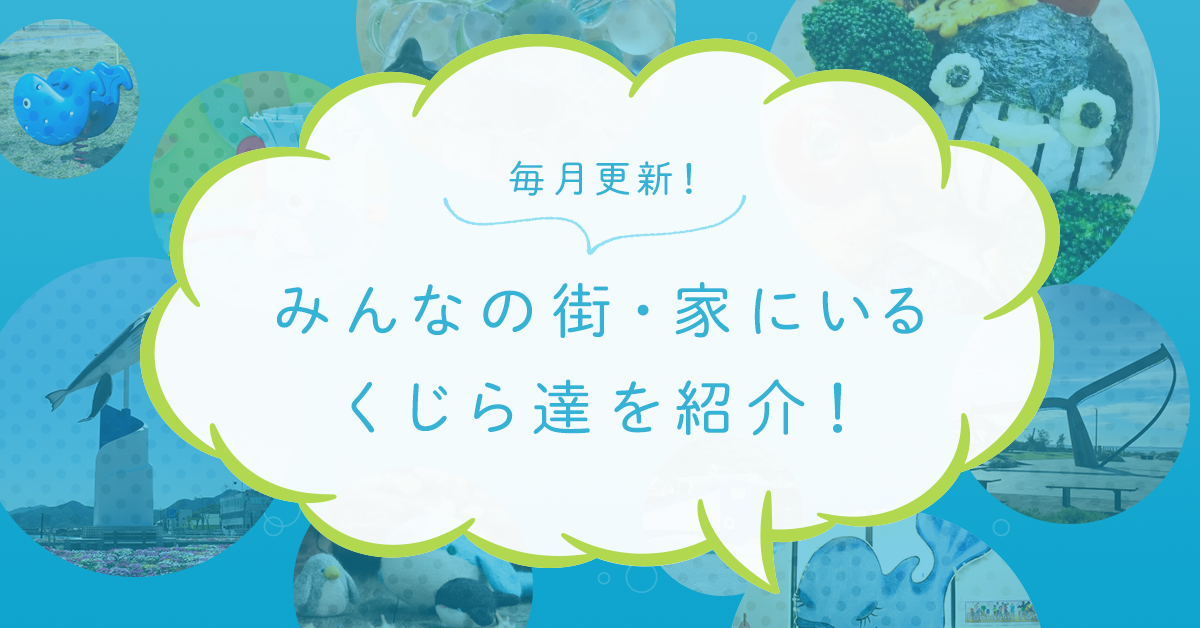 毎月更新！みんなの街・家にいるくじら達を紹介！