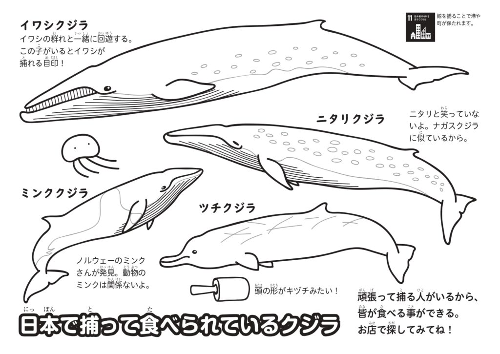 お子様向け ためになる 可愛い くじらぬりえ 耳ヨリくじら情報 くじらタウン