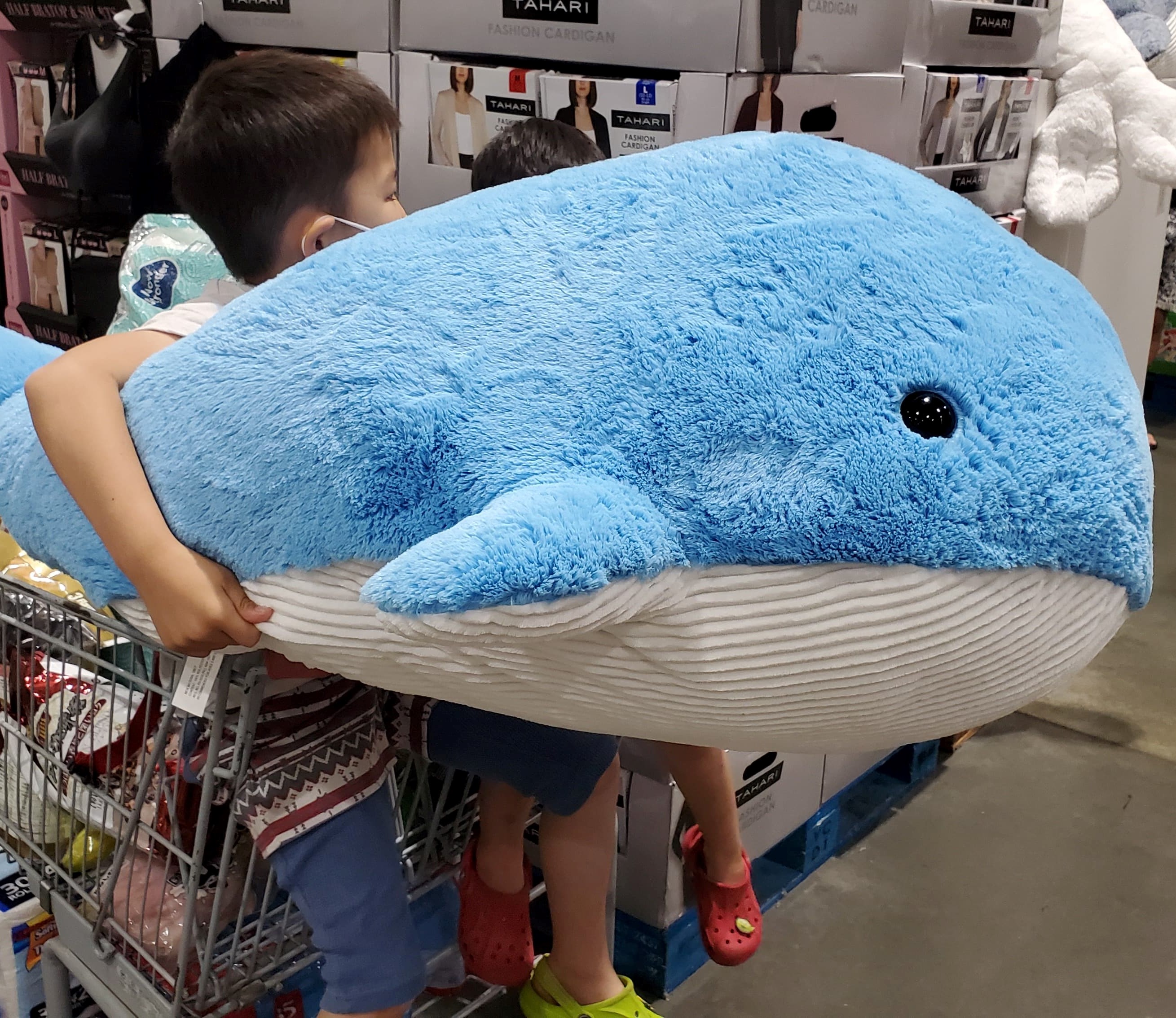 くじら 投稿写真館 楽しむ くじらタウン