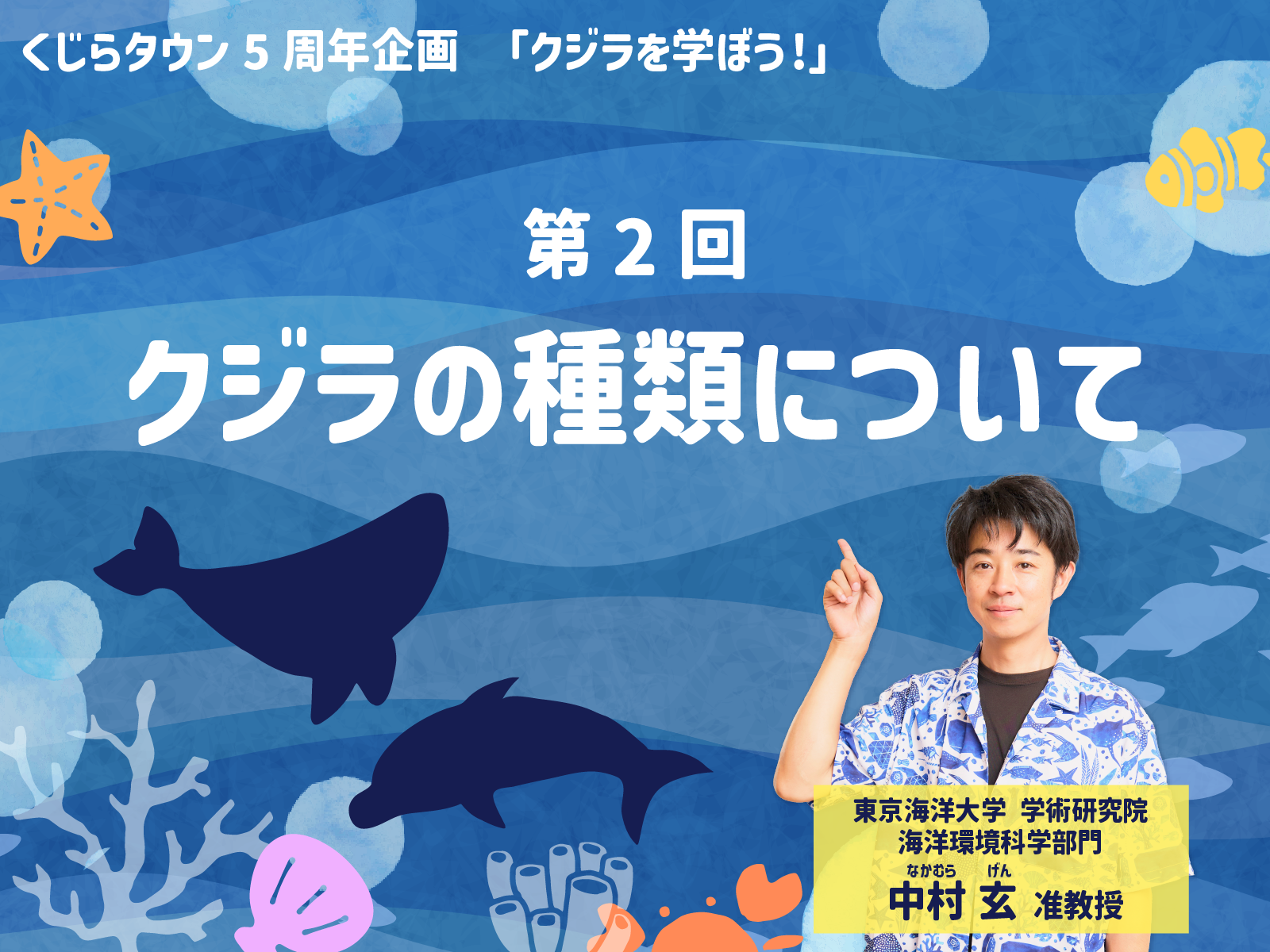 クジラを学ぼう！】第２回 クジラの種類について | くじらタウン