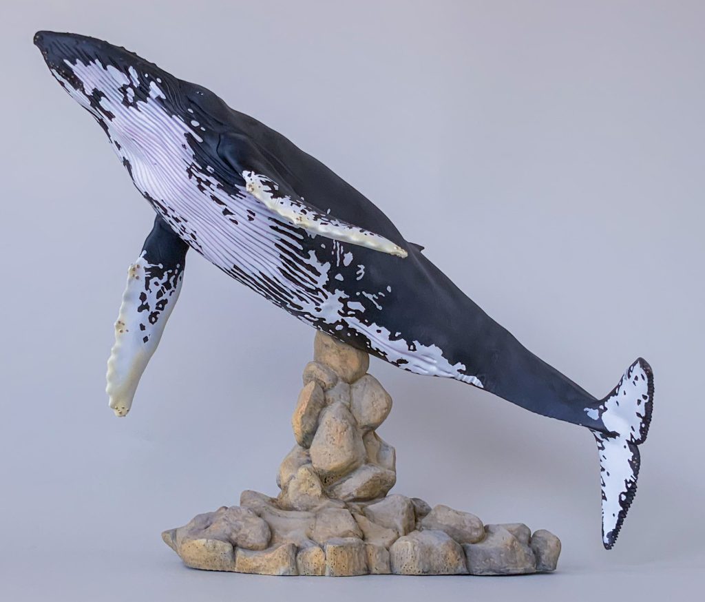 物心がついたころには既にクジラが大好きで、幼少期からクジラの作品 